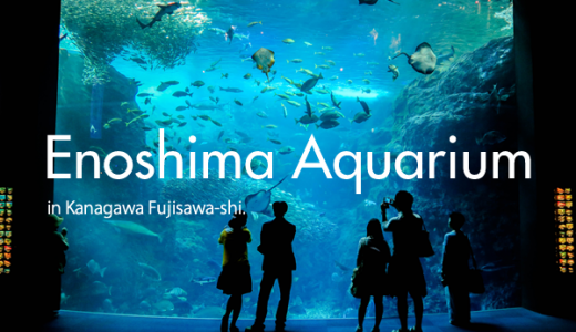 “えのすい”こと「新江ノ島水族館」へ行ってきたのでブログしてみるよっ！