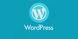 About WordPress