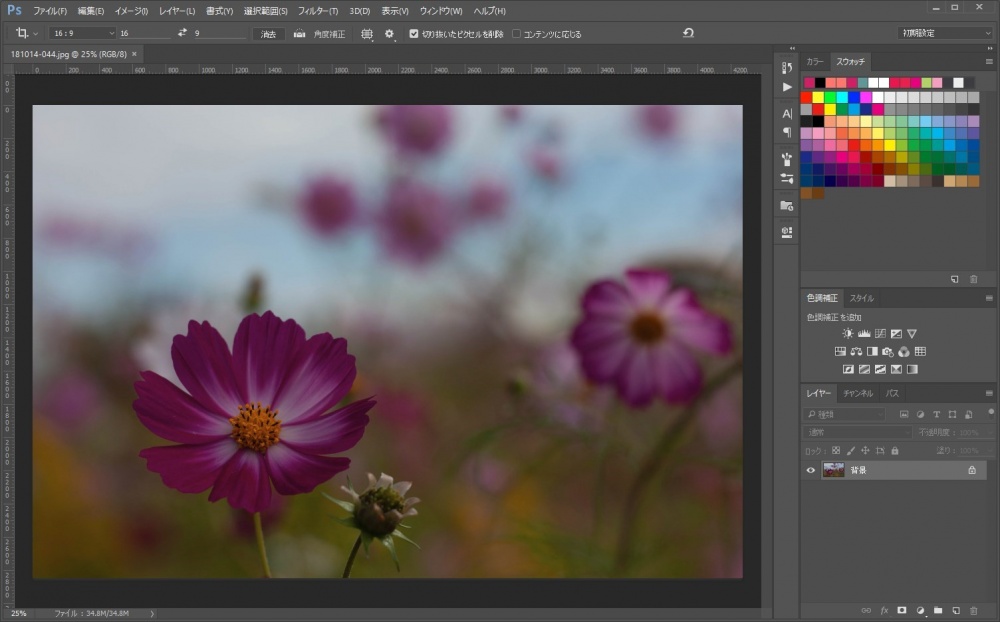 Photoshop Cc で Jpeg画像も Camera Raw で編集できるようにする方法 Tanweb Net