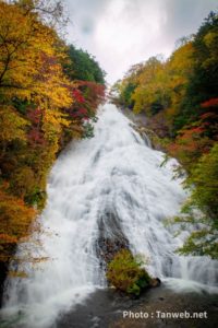 紅葉の奥日光「湯滝」