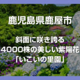 4000株のアジサイが咲き誇る「いこいの里園」鹿児島鹿屋のおすすめスポット
