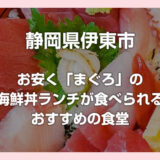 伊豆は伊東市で格安の美味しい海鮮丼（まぐろ）が食べられるお店「魚河岸」へ行ってきました！