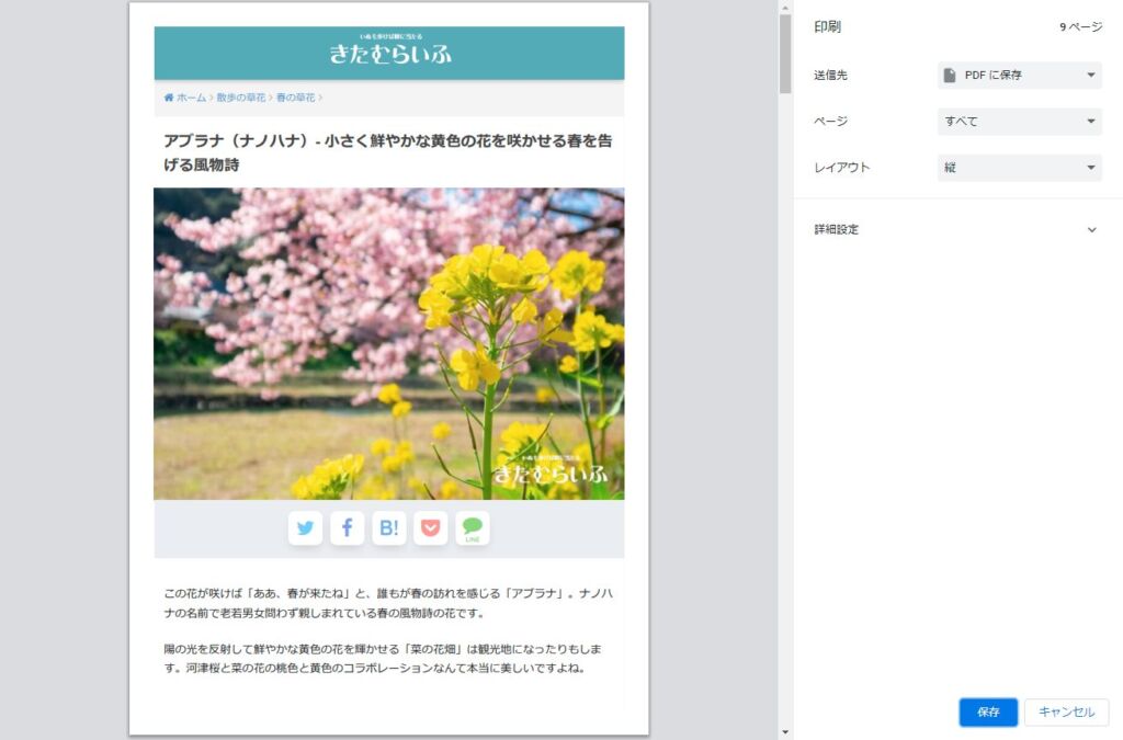 WP Content Copy Protection & No Right Click をインストールする06
