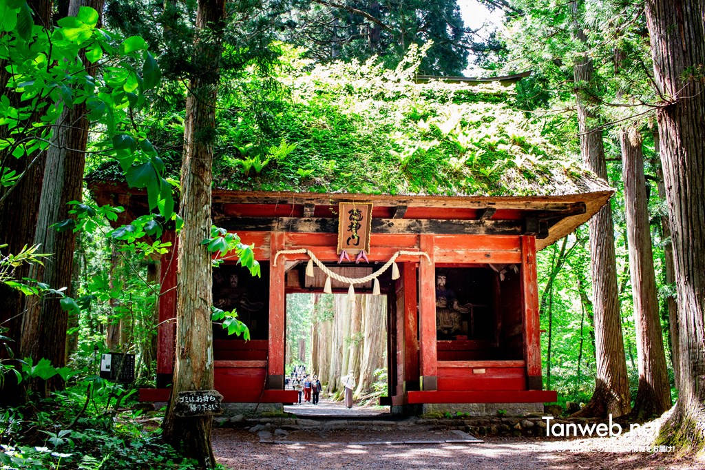 戸隠神社 奥社 杉並木の入り口の門